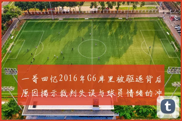 一哥回忆2016年G6库里被驱逐背后原因揭示裁判失误与球员情绪的冲突